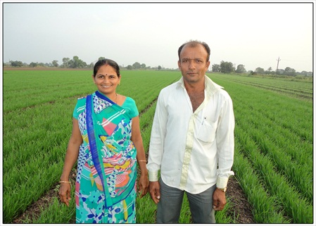 seed village field at Prabhatpur 03